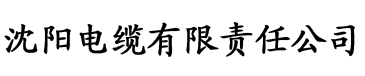 91香蕉视频 污电缆厂logo